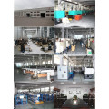 Fabricant de tuyaux tressés de haute qualité dans Cixi